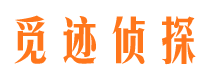 居巢寻人公司